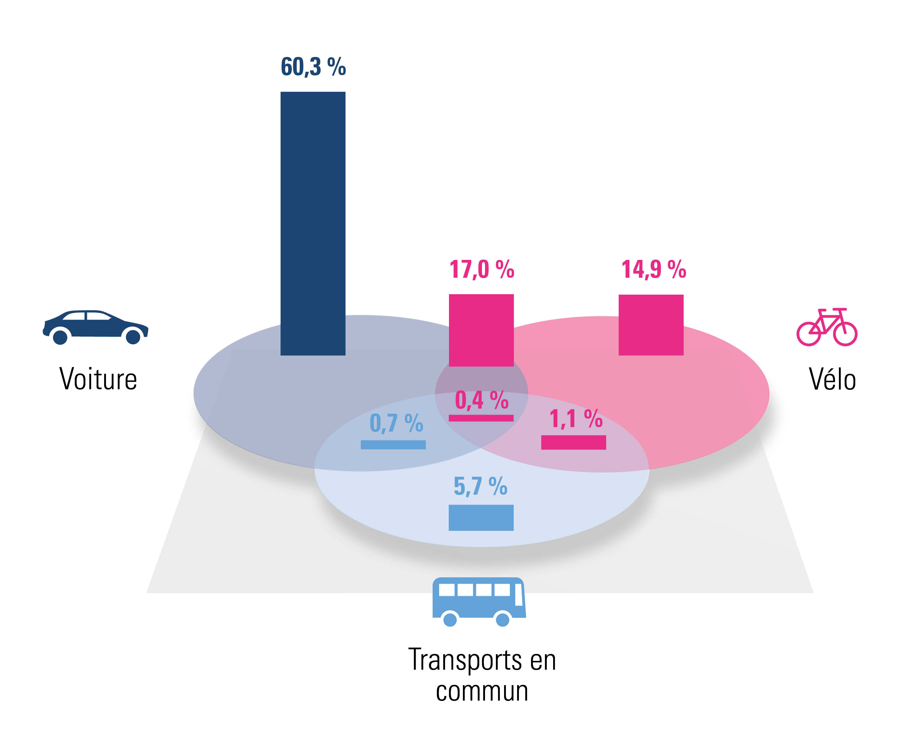 Répartition des différentes solutions de mobilité (2021)